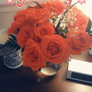 Meet your Posher, Gretchen